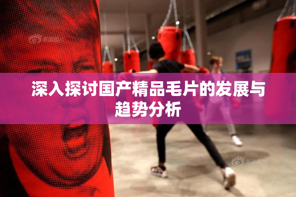 深入探讨国产精品毛片的发展与趋势分析