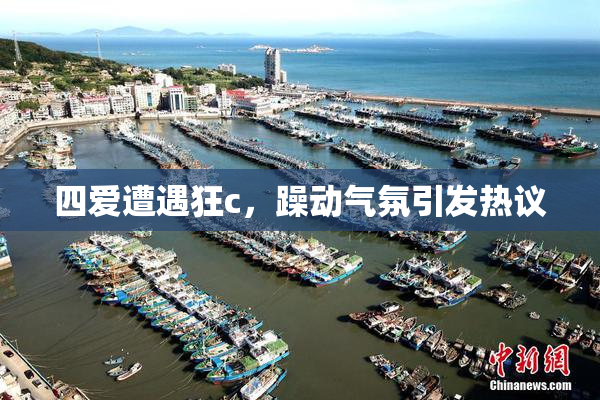 四爱遭遇狂c，躁动气氛引发热议