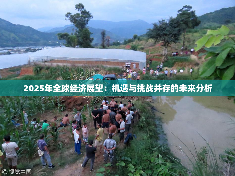 2025年全球经济展望：机遇与挑战并存的未来分析