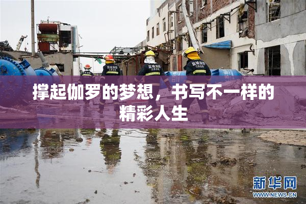 撑起伽罗的梦想，书写不一样的精彩人生