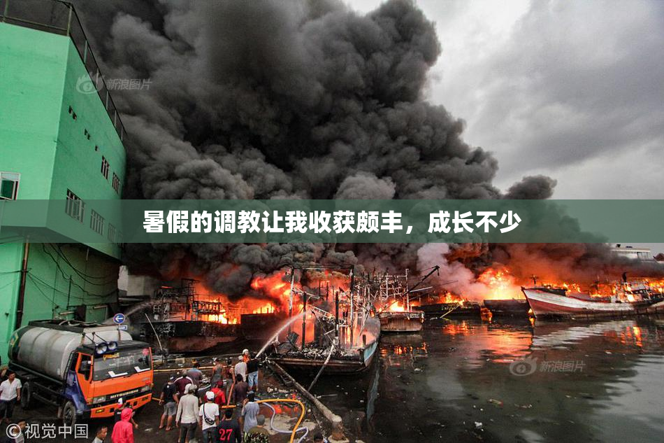 暑假的调教让我收获颇丰，成长不少