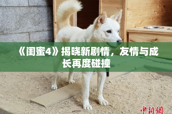 《闺蜜4》揭晓新剧情，友情与成长再度碰撞