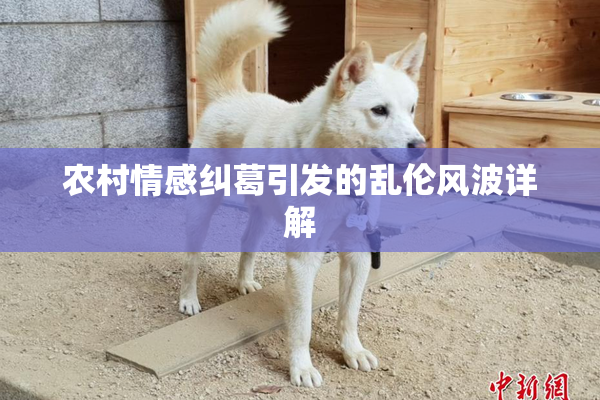 农村情感纠葛引发的乱伦风波详解