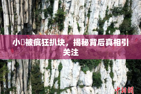 小泬被疯狂扒块，揭秘背后真相引关注