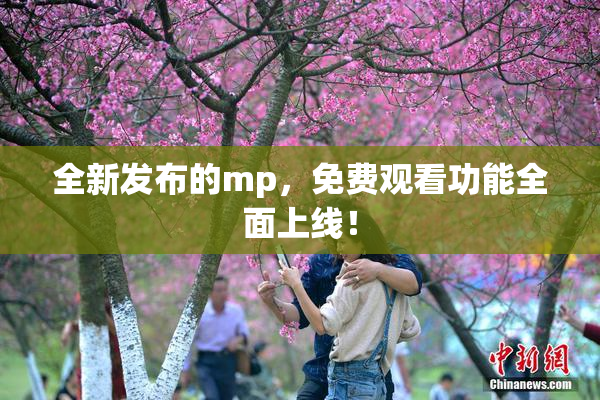 全新发布的mp，免费观看功能全面上线！