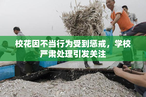 校花因不当行为受到惩戒，学校严肃处理引发关注