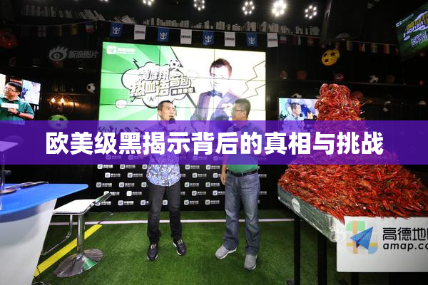 欧美级黑揭示背后的真相与挑战