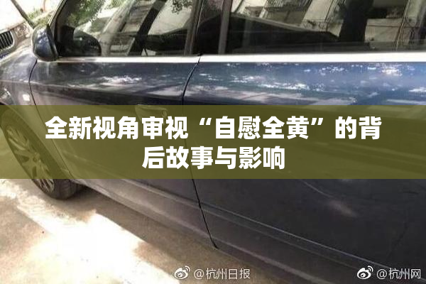 全新视角审视“自慰全黄”的背后故事与影响