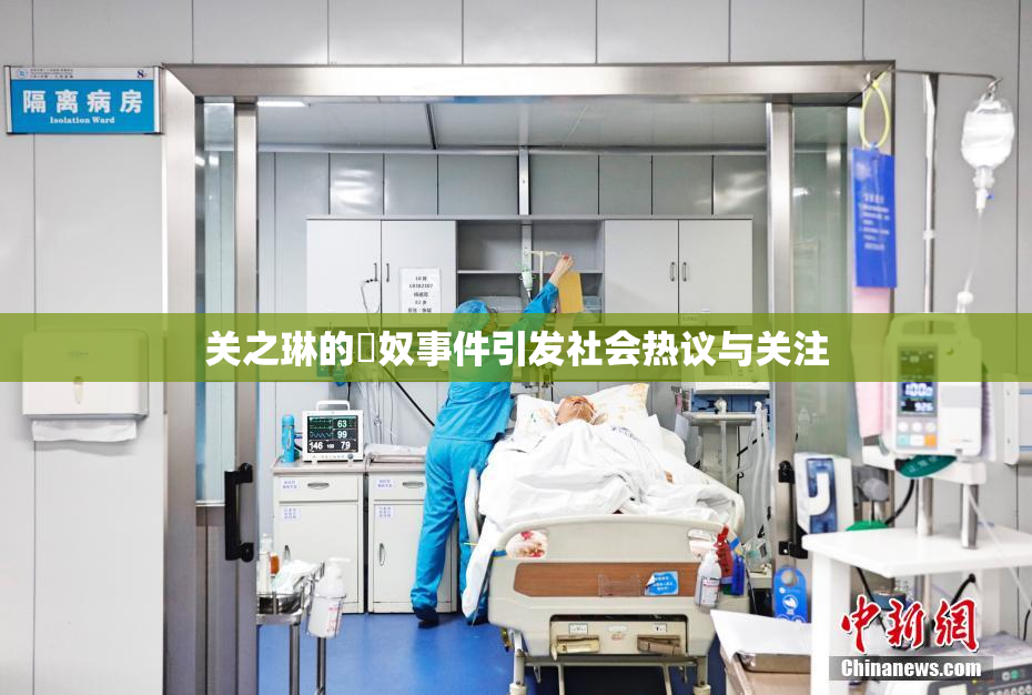 关之琳的婬奴事件引发社会热议与关注