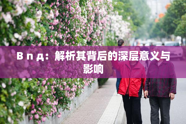 B n д：解析其背后的深层意义与影响