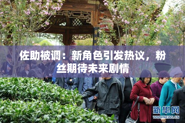 佐助被调：新角色引发热议，粉丝期待未来剧情