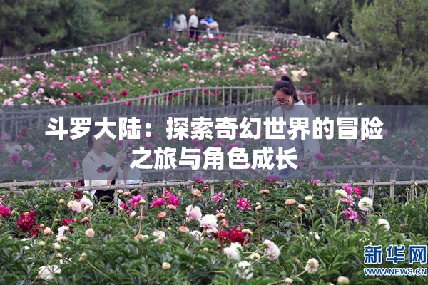 斗罗大陆：探索奇幻世界的冒险之旅与角色成长