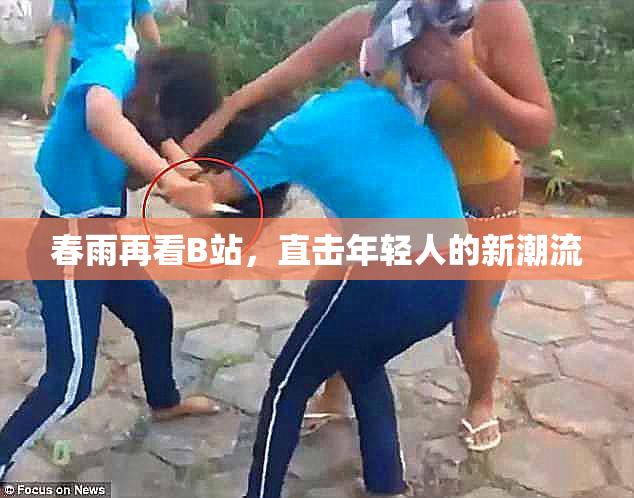 春雨再看B站，直击年轻人的新潮流