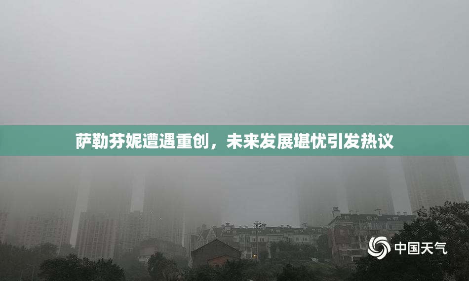 萨勒芬妮遭遇重创，未来发展堪忧引发热议