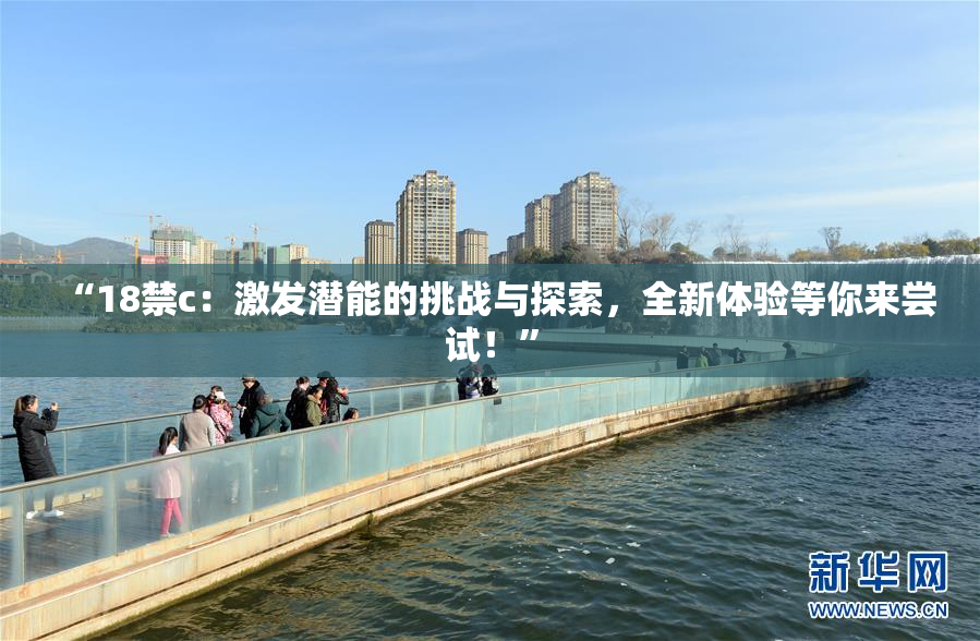 “18禁c：激发潜能的挑战与探索，全新体验等你来尝试！”