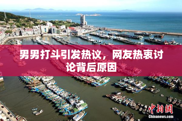 男男打斗引发热议，网友热衷讨论背后原因