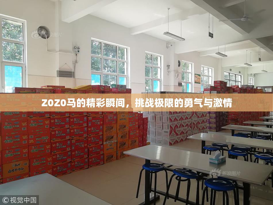 Z0Z0马的精彩瞬间，挑战极限的勇气与激情