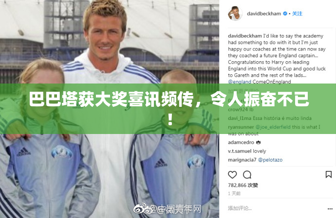 巴巴塔获大奖喜讯频传，令人振奋不已！