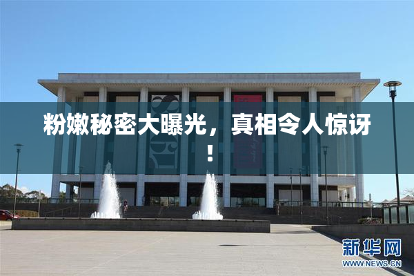 粉嫩秘密大曝光，真相令人惊讶！