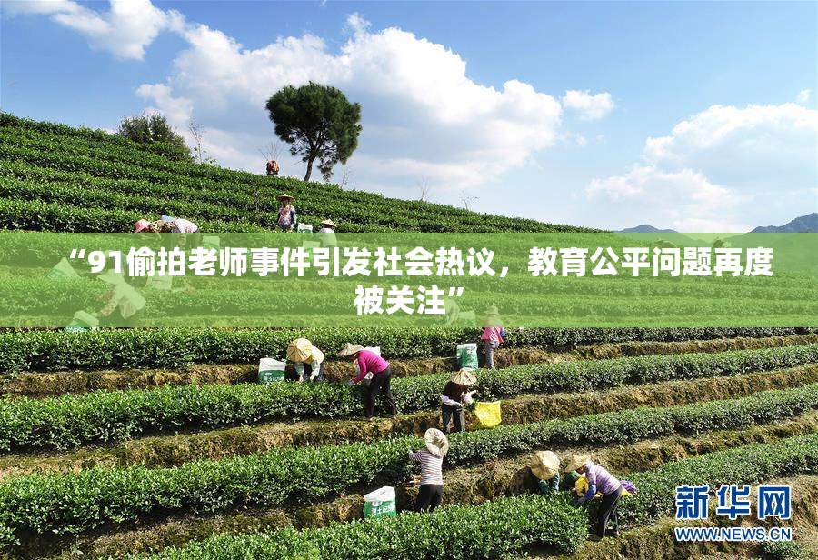 “91偷拍老师事件引发社会热议，教育公平问题再度被关注”