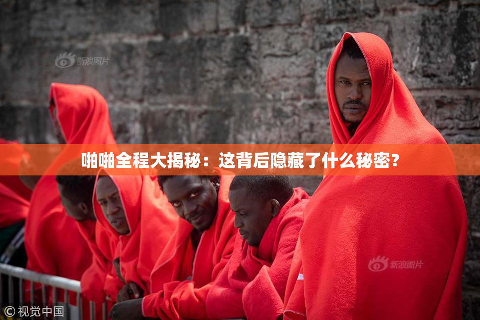 啪啪全程大揭秘：这背后隐藏了什么秘密？