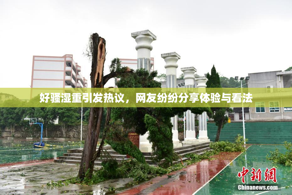 好骚湿重引发热议，网友纷纷分享体验与看法