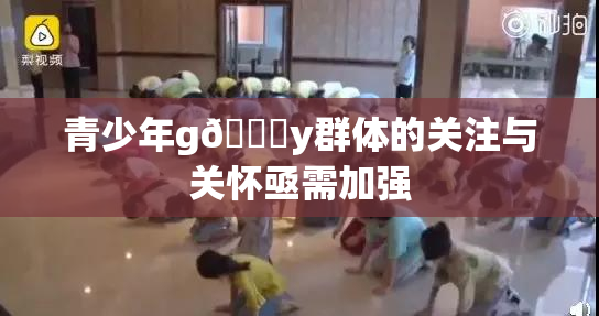 青少年g🈚y群体的关注与关怀亟需加强