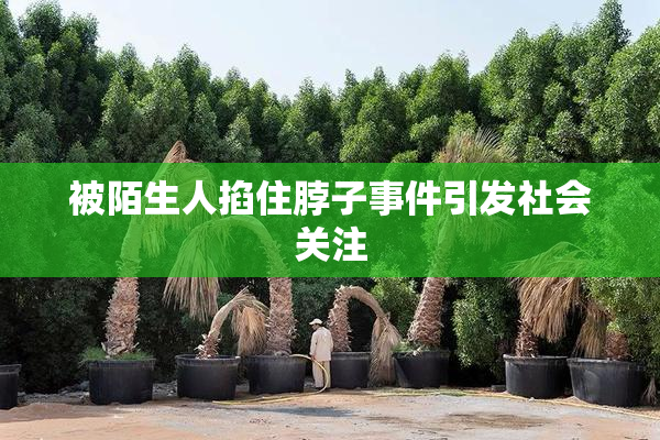 被陌生人掐住脖子事件引发社会关注