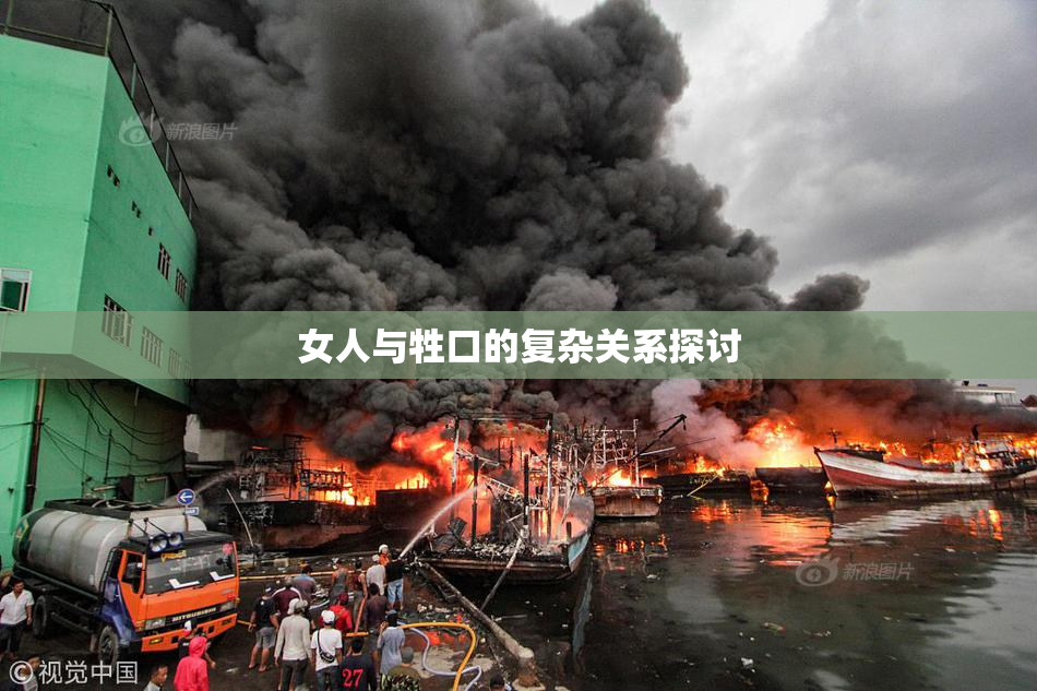 女人与牲口的复杂关系探讨