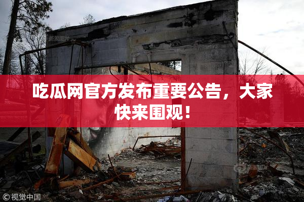 吃瓜网官方发布重要公告，大家快来围观！