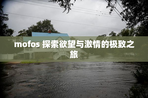 mofos 探索欲望与激情的极致之旅