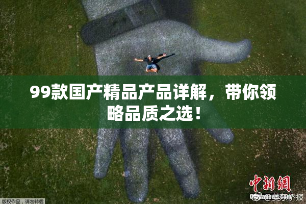 99款国产精品产品详解，带你领略品质之选！