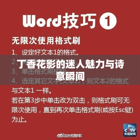 丁香花影的迷人魅力与诗意瞬间