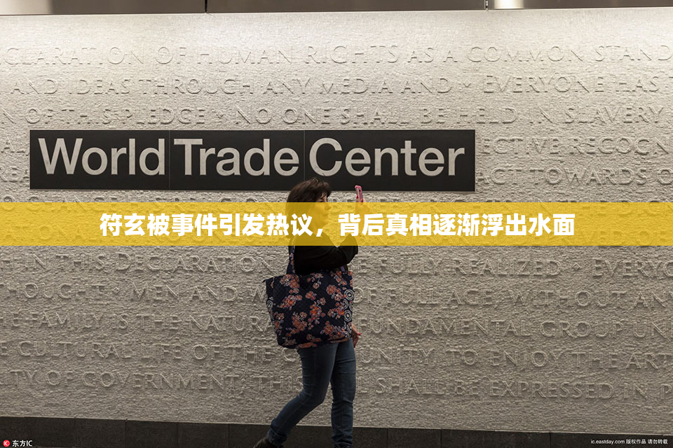 符玄被事件引发热议，背后真相逐渐浮出水面