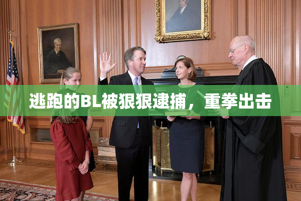 逃跑的BL被狠狠逮捕，重拳出击