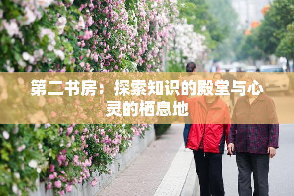 第二书房：探索知识的殿堂与心灵的栖息地