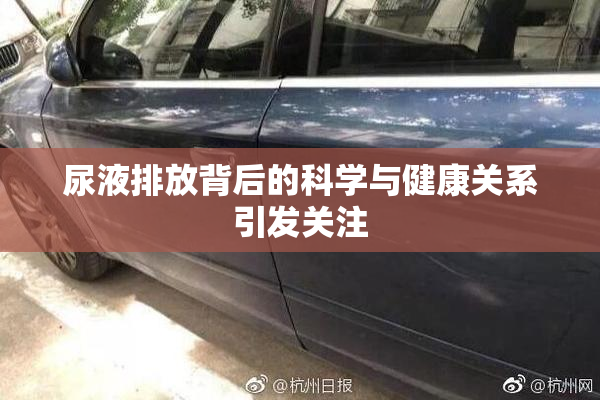 尿液排放背后的科学与健康关系引发关注