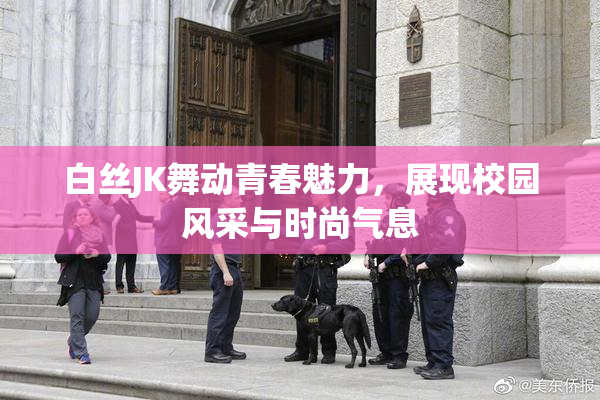 白丝JK舞动青春魅力，展现校园风采与时尚气息