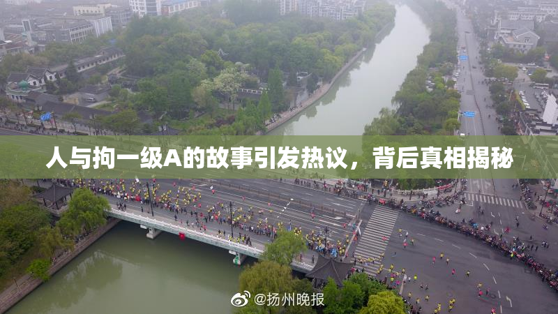 人与拘一级A的故事引发热议，背后真相揭秘