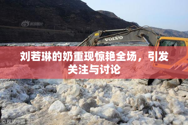 刘若琳的奶重现惊艳全场，引发关注与讨论