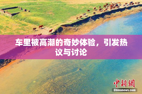 车里被高潮的奇妙体验，引发热议与讨论