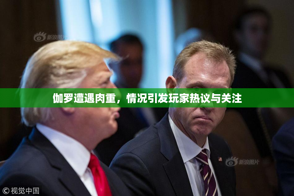 伽罗遭遇肉重，情况引发玩家热议与关注