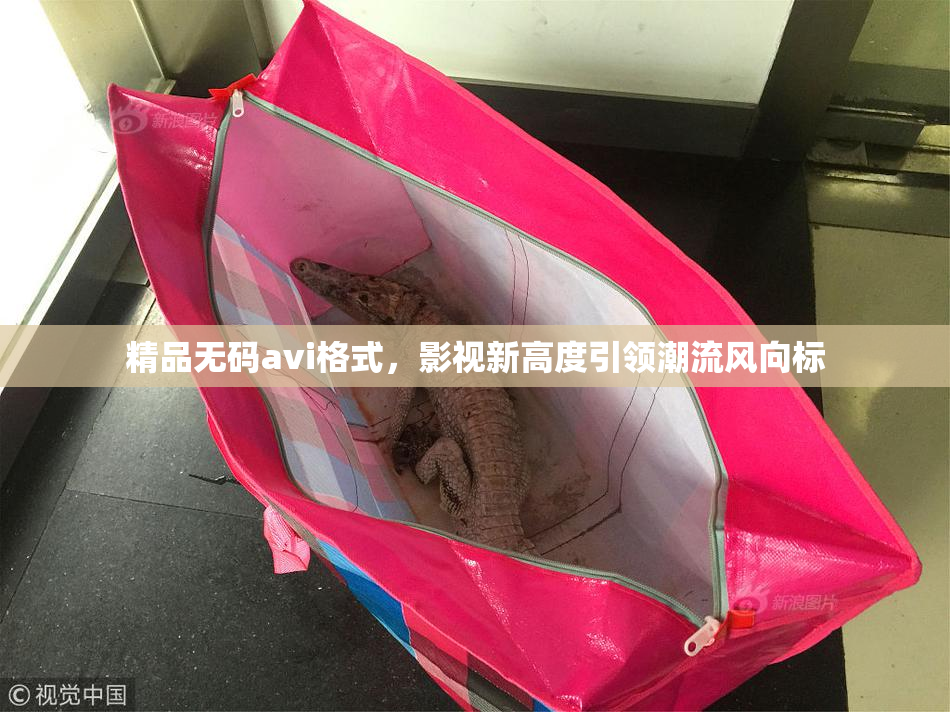 精品无码avi格式，影视新高度引领潮流风向标