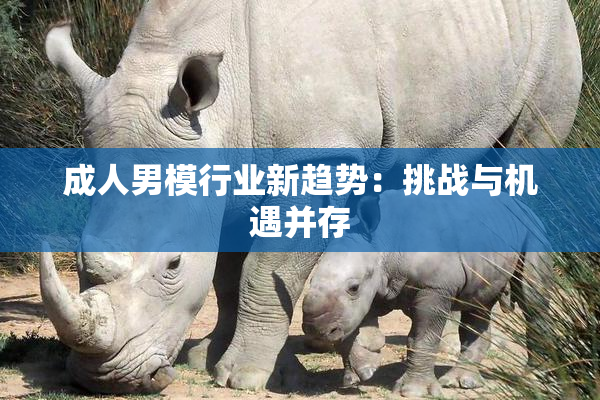 成人男模行业新趋势：挑战与机遇并存