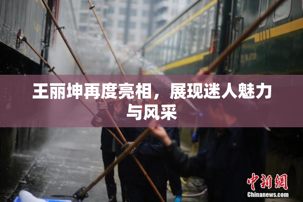 王丽坤再度亮相，展现迷人魅力与风采