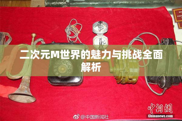 二次元M世界的魅力与挑战全面解析