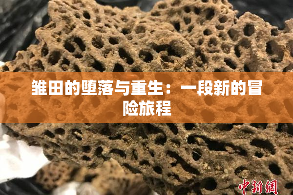 雏田的堕落与重生：一段新的冒险旅程