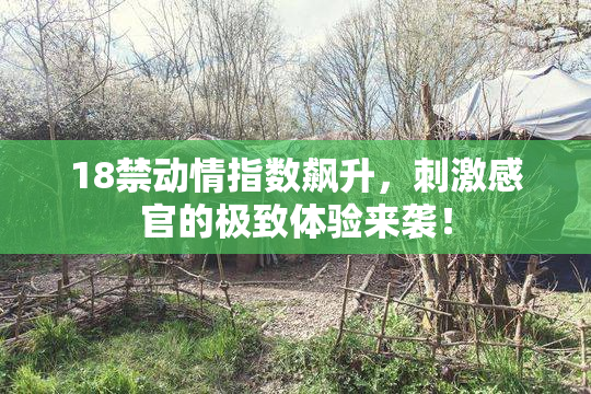 18禁动情指数飙升，刺激感官的极致体验来袭！