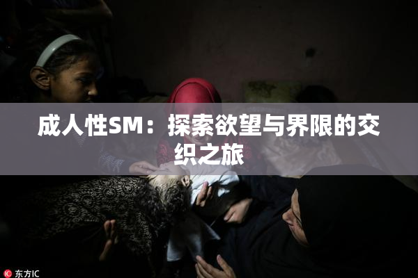 成人性SM：探索欲望与界限的交织之旅