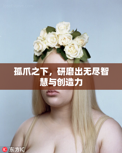孤爪之下，研磨出无尽智慧与创造力